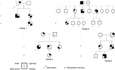 Clinical and molecular features of four Brazilian families with multiple endocrine neoplasia type 1